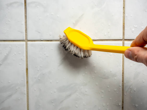 Best Mold Cleaning Services  in Kalifornsky, AK