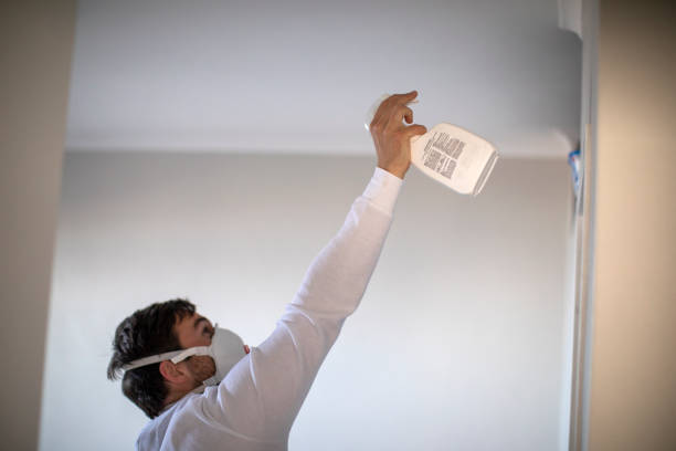 Best Residential Mold Removal  in Kalifornsky, AK