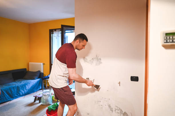 Best Water Damage Restoration  in Kalifornsky, AK